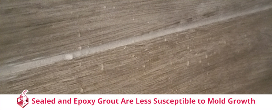 Grout Sealing Mold Resistant