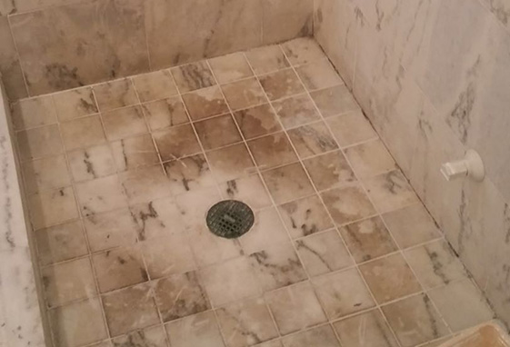 Residential Stone Cleaning and Sealing Before