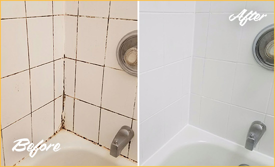 Before and After Picture of a Daniel Island Shower Tile and Grout Cleaned to Eliminate Mold