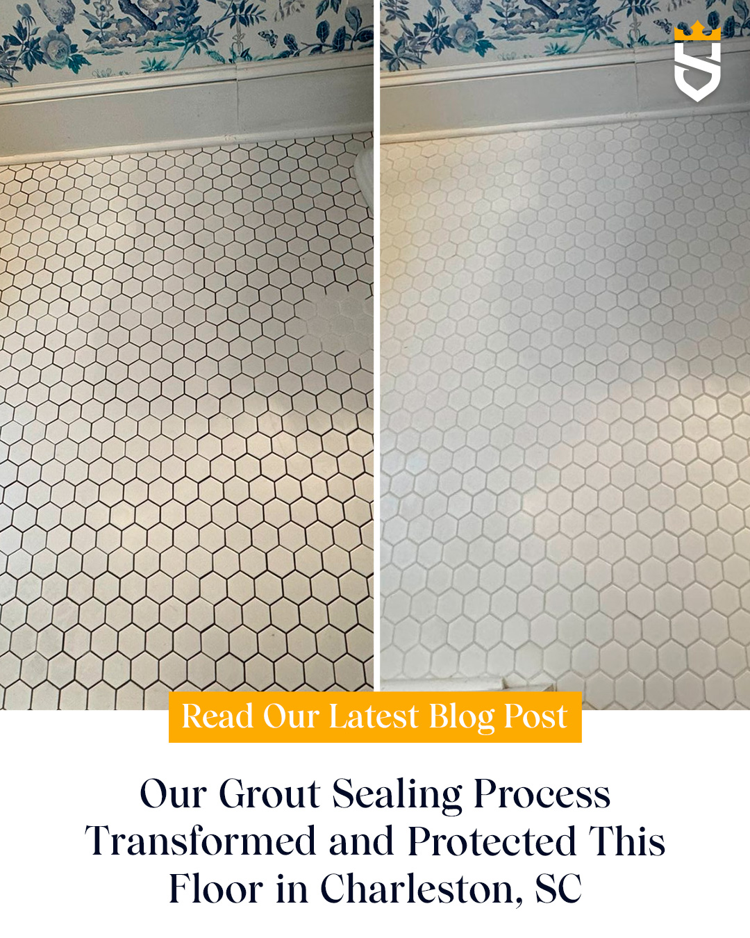Our Grout Sealing Process Transformed and Protected This Floor in Charleston, SC